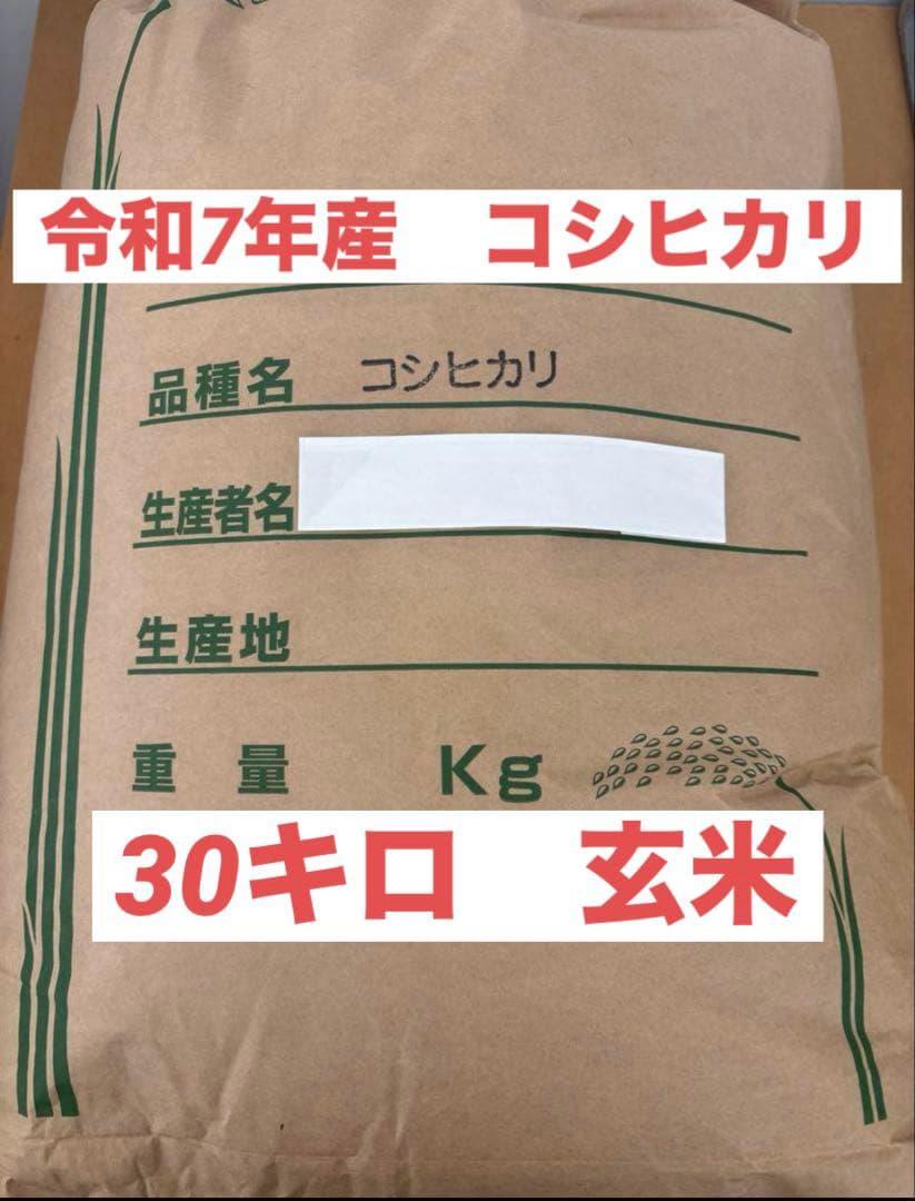 コシヒカリ 令和6年産 玄米　30キロ