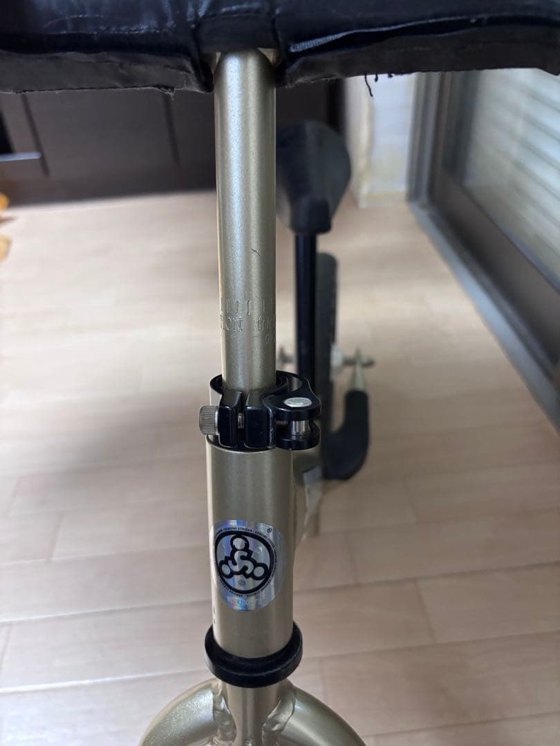 STRIDER Pro 10周年限定品シャンパンゴールド