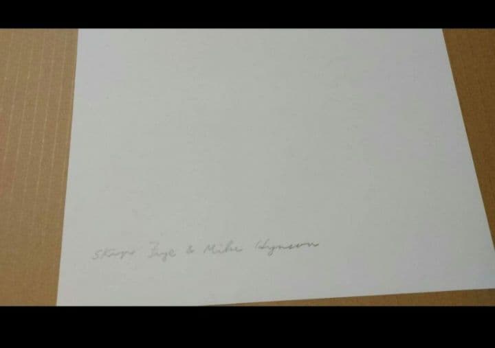 スキップフライ写真額　サーフィン画　サーフ