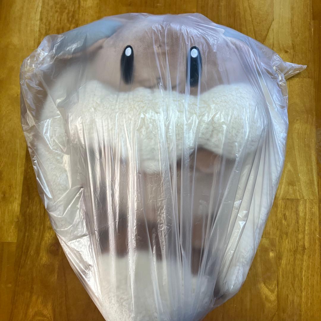 ボタンのイーブイリュック