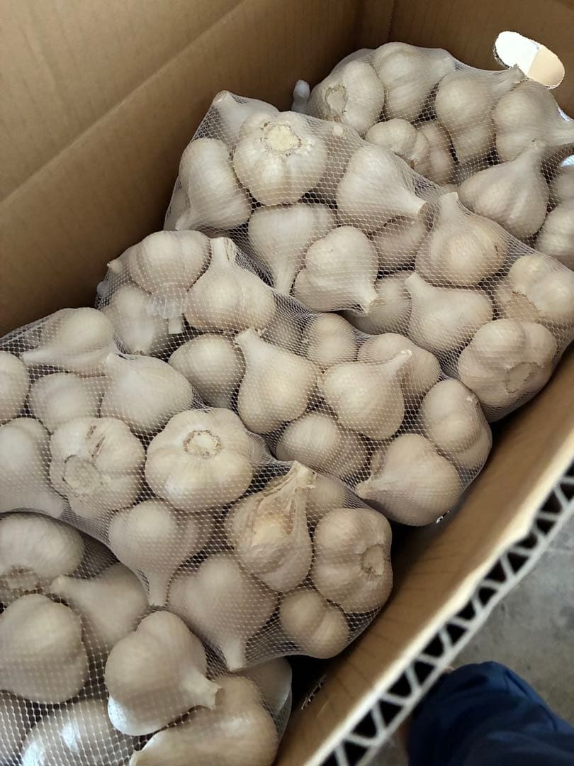 新物　青森県にんにく10Kg M AB品