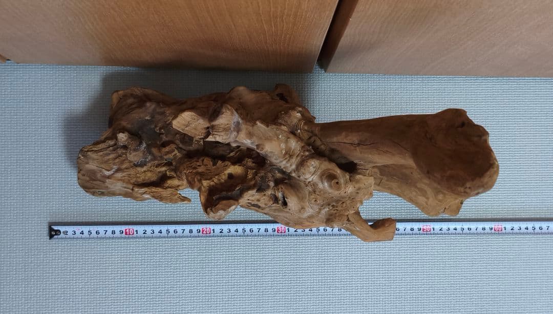 ホーンウッド 流木 特大サイズ 水槽用