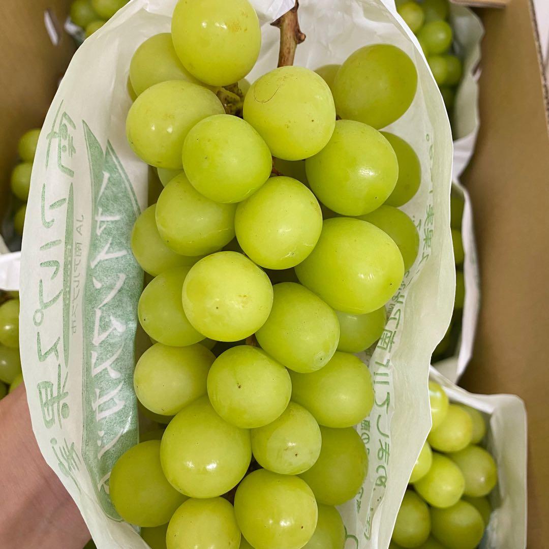 山梨県産　訳あり　家庭用　シャインマスカット　10房　箱込み5.7kg ⑦