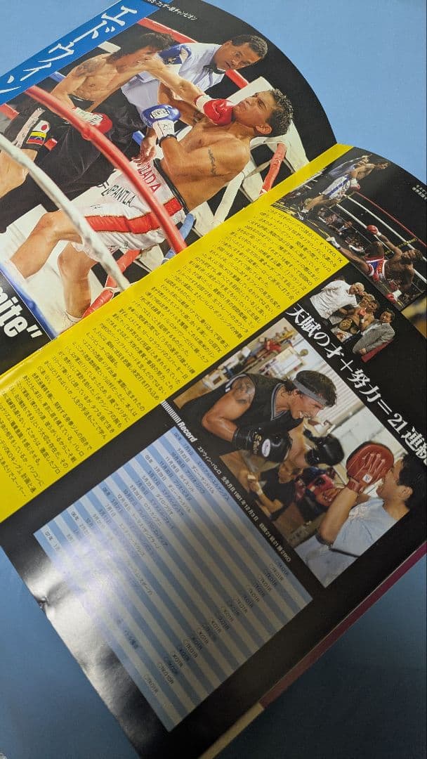 ボクシング パンフレット 長谷川穂積バレロ名城 Boxing Program