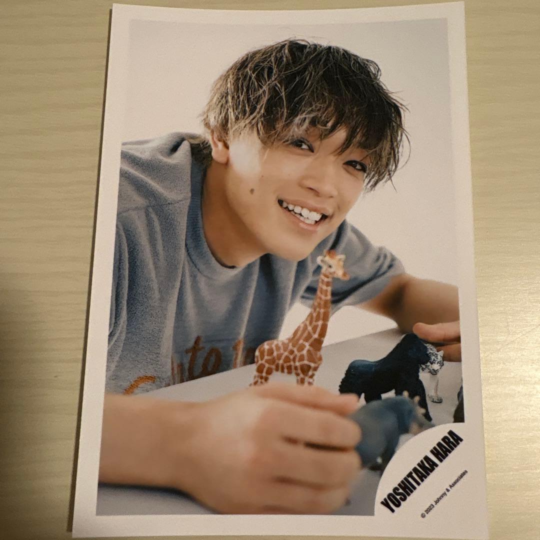 原嘉孝 公式写真 12枚