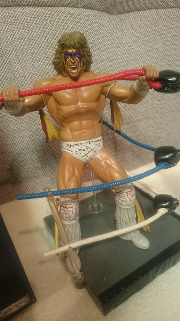 開封　貴重！WWE WCW アルティメット．ウォリアー　FURY フューリー
