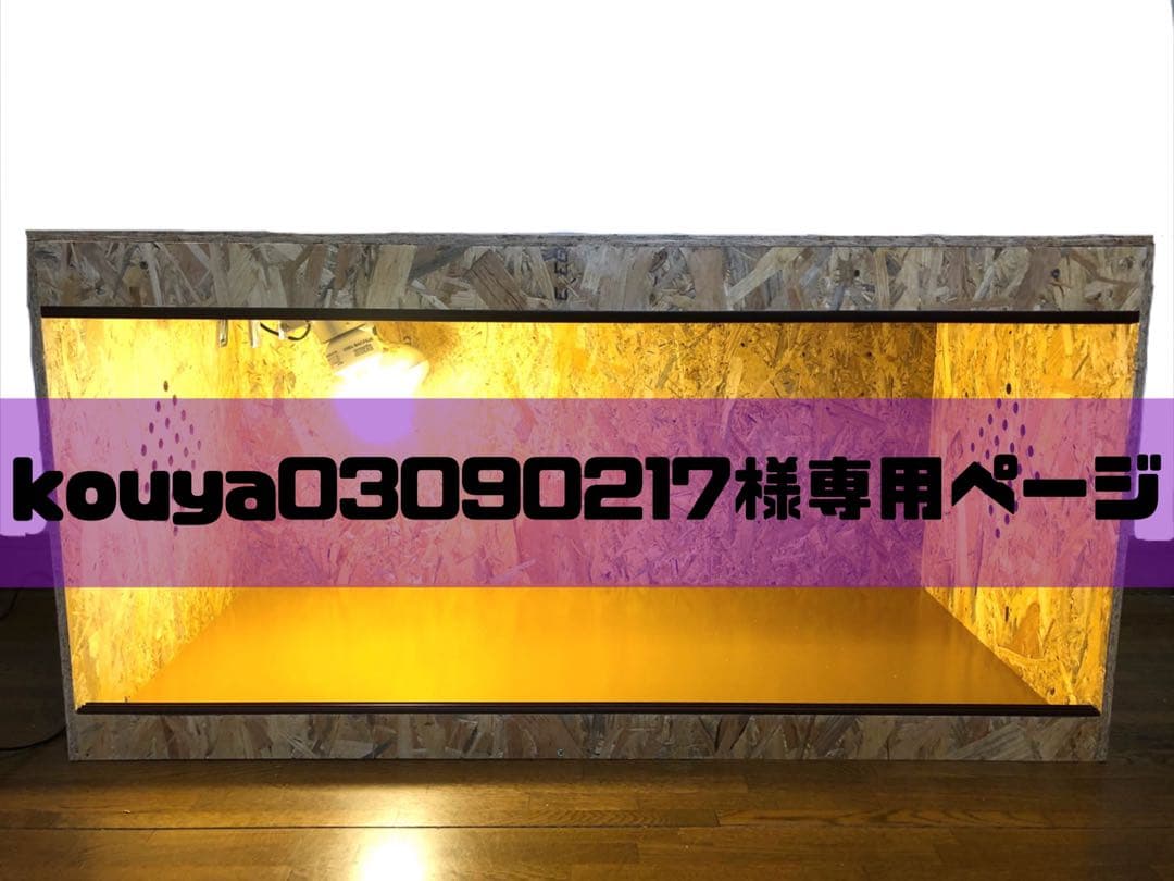 kouya03090217ページ