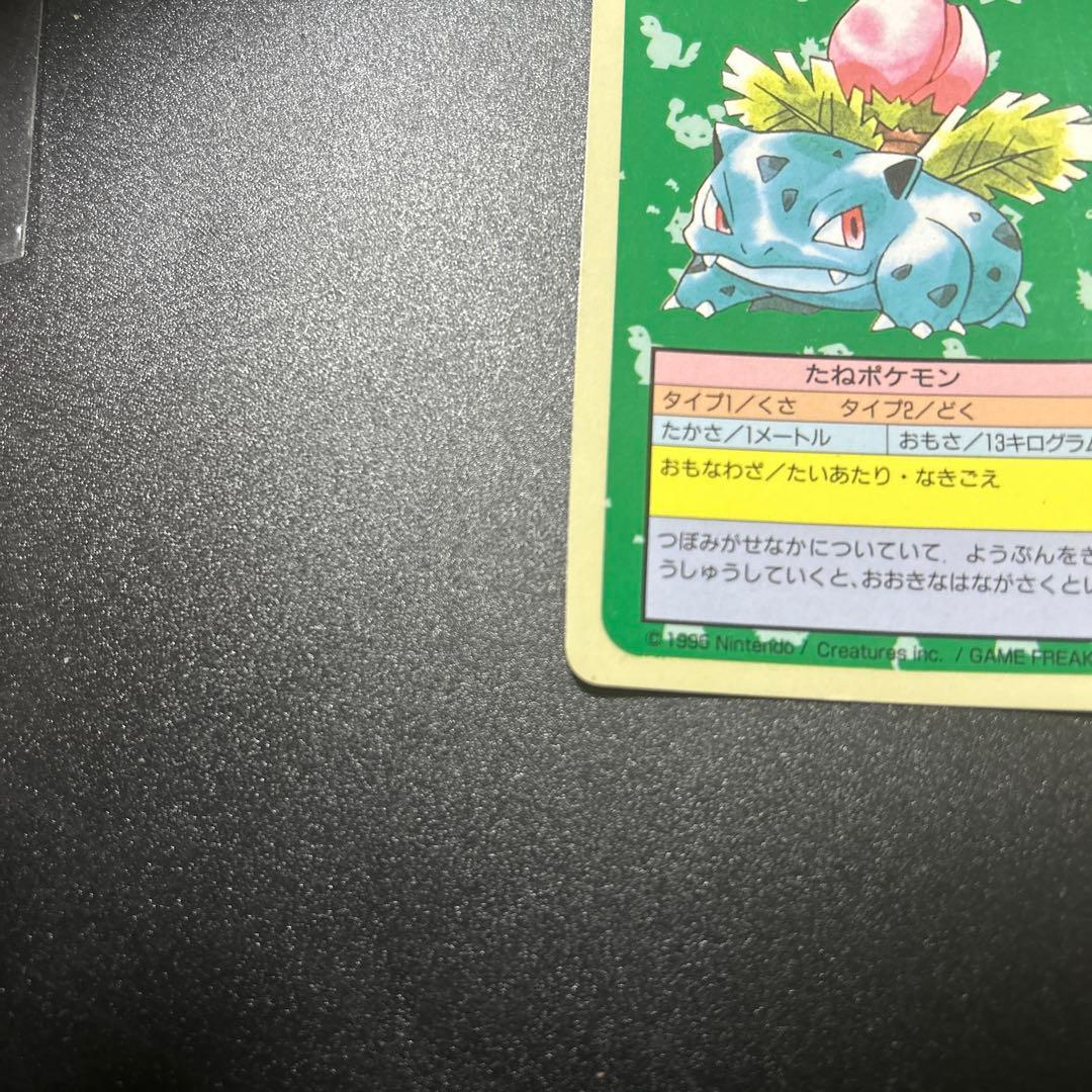 ポケモンカードゲーム フシギソウ フシギダネ 旧裏 トップサン エラー