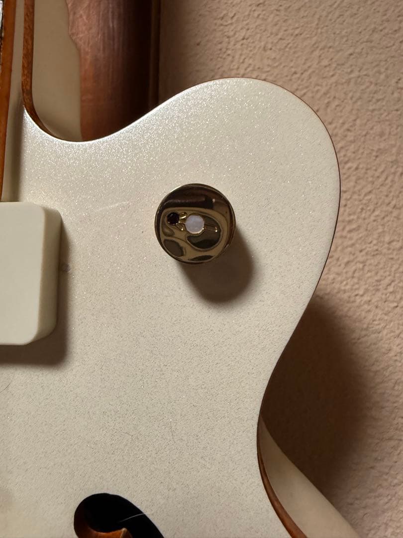 Epiphone Wildkat トンデモ改造品　ビザールギター