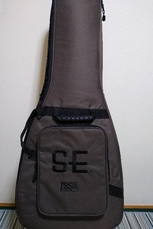 エレキギター セミアコ PRS SE