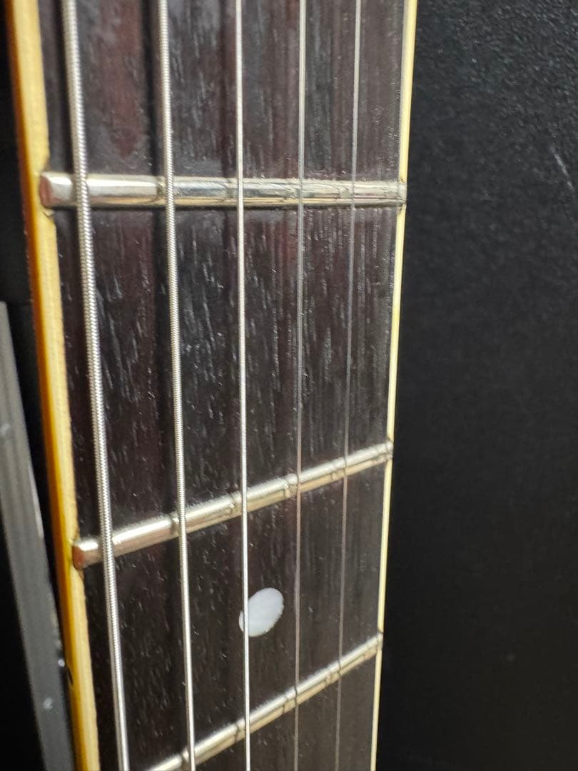 Fernandes TEJ-95S 18Vサスティナー