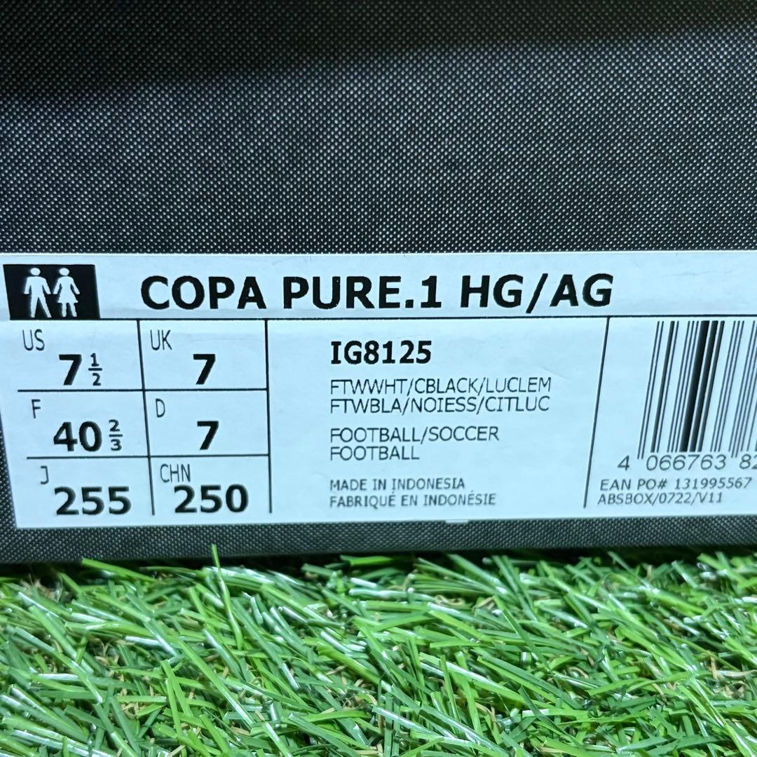 シューズ Adidas Copa Pure .1 HG/AG 25.5