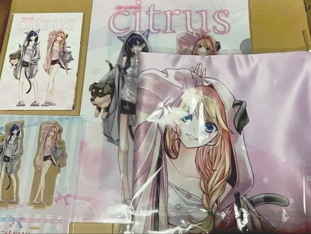 非売品　限定　citrus ホテル　コラボグッズ citrusサブロウタ