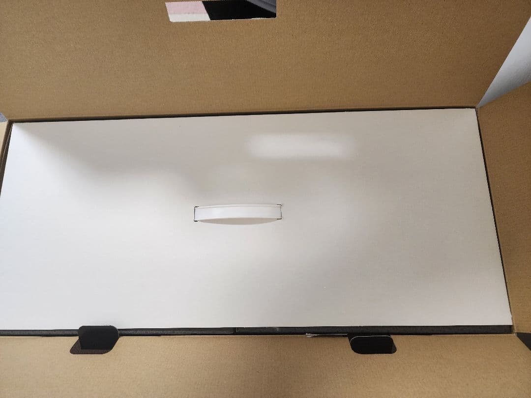 1/144　デンドロビウム