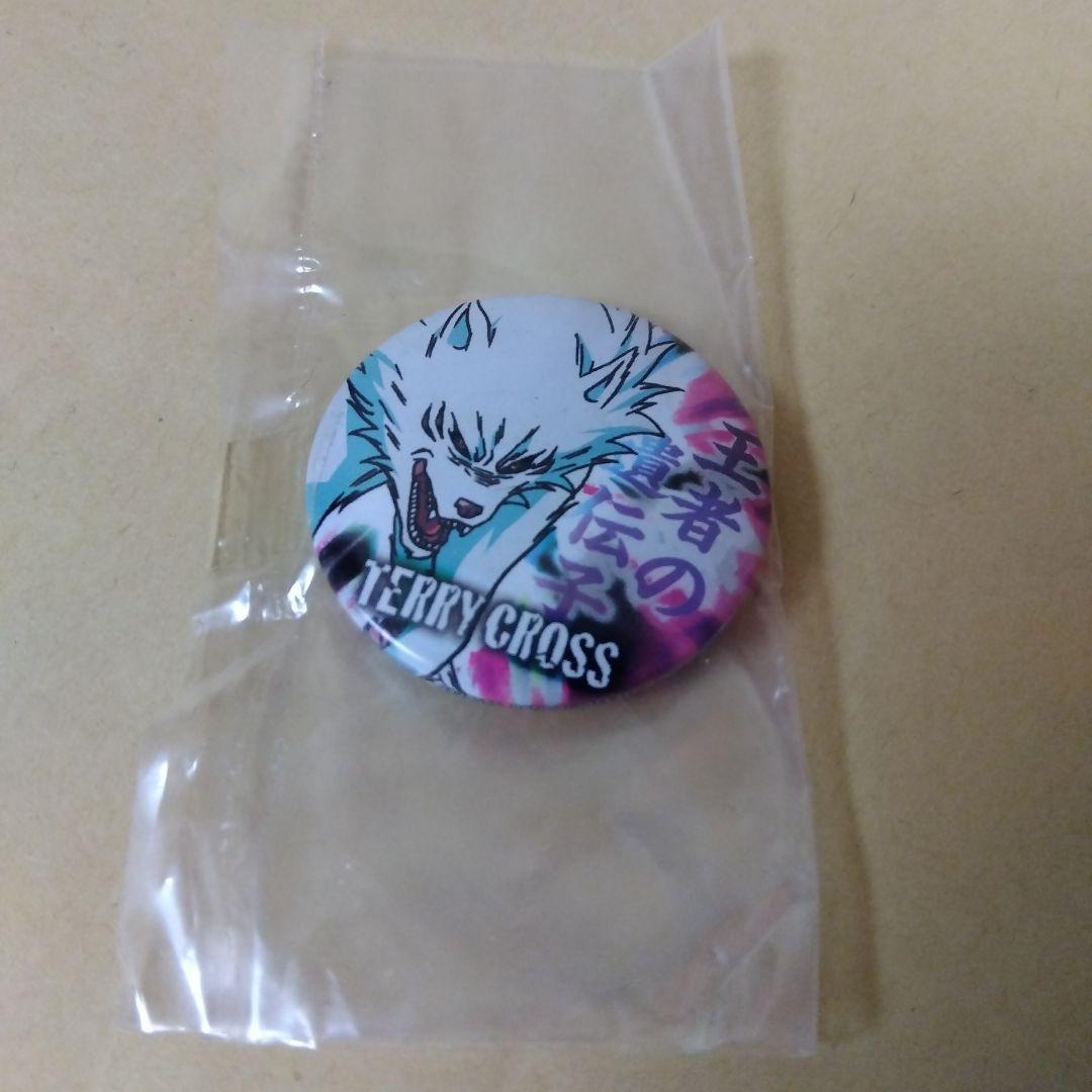 トリコ カプセルカンバッジ テリークロス 缶バッジ グッズ