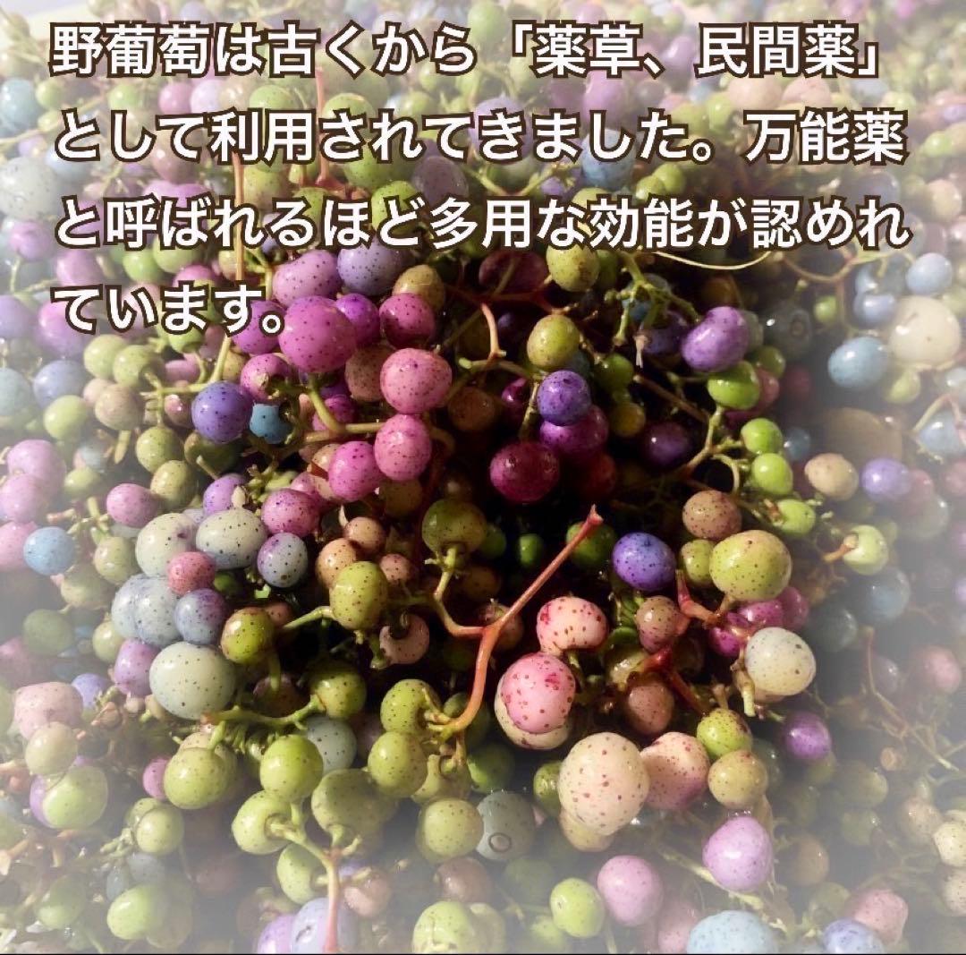 【おすすめ】馬ぶどう250g×12袋　1年分3kg うまぶどう　薬膳　民間療法