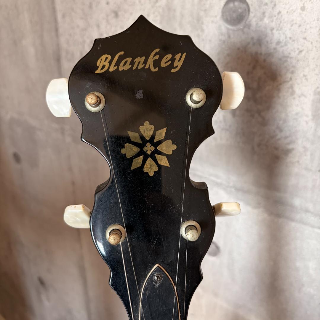 REMO 5弦バンジョー