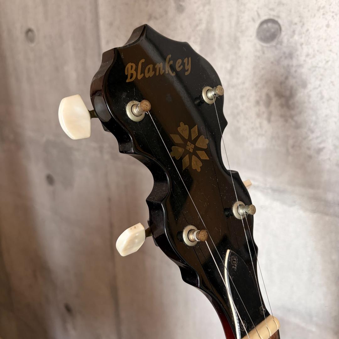 REMO 5弦バンジョー