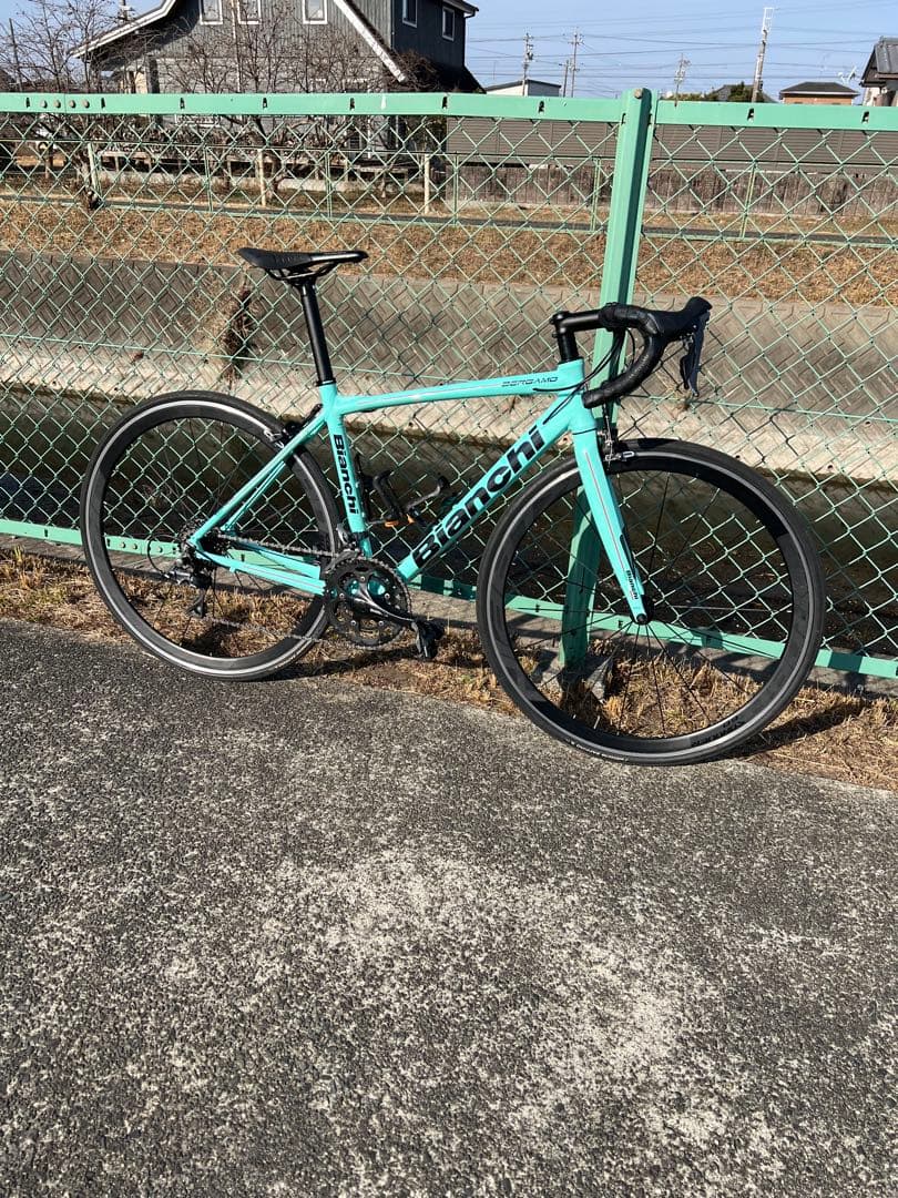 ビアンキ　ベルガモ　50サイズ　おまけ付き