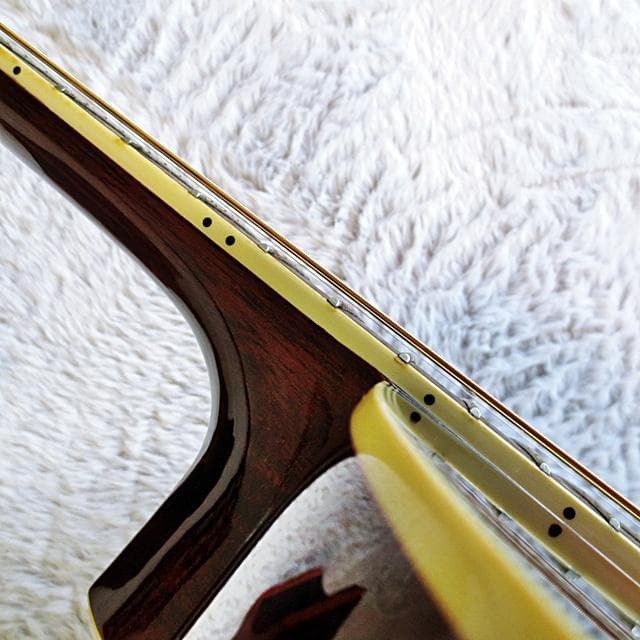 James ジェームス トップ単板アコースティックギター JF350TS