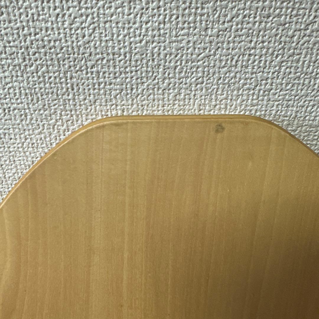 Land sup Crazy mini バランスボード　ランドサップ