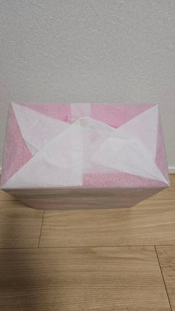 新品未開封 AMAKUNI グリム・アロエ サキュバスチアコスver.