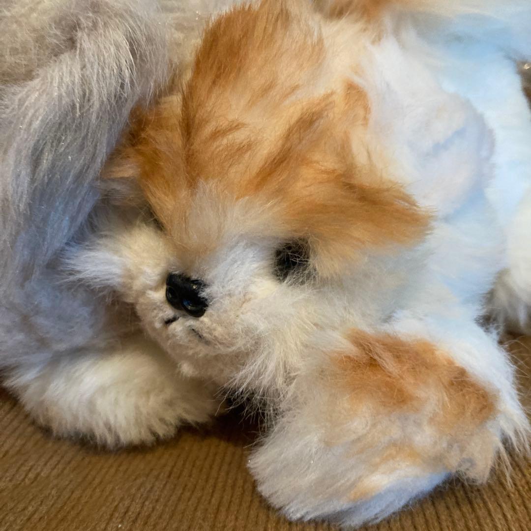 犬　リアル　ぬいぐるみ　2体セット　まとめ売り