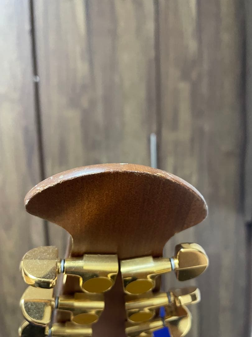 本日のみ値下げ　Ovation Celebrity Delax cs247