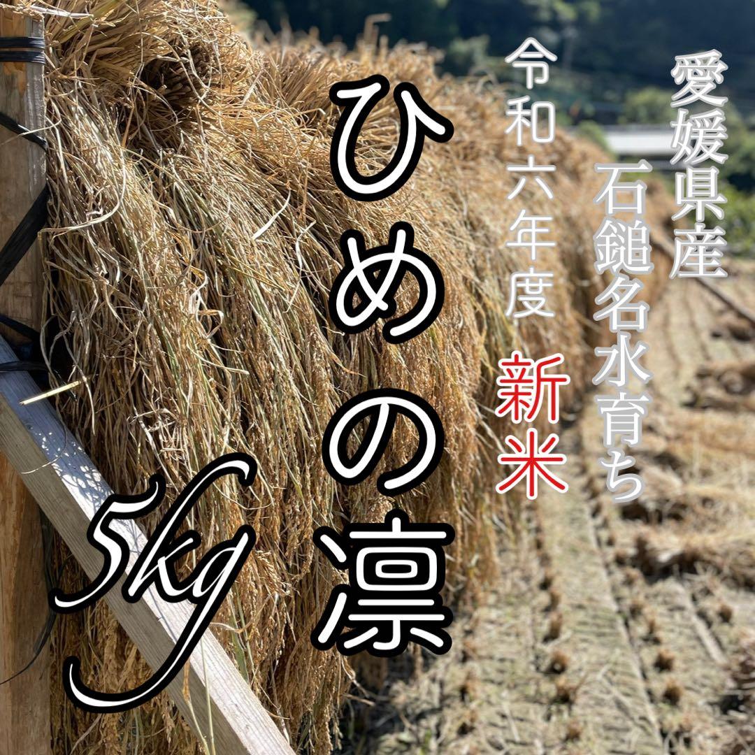 農薬化学肥料除草剤不使用 R6年度米愛媛県産ひめの凛稲架掛け米 5kg