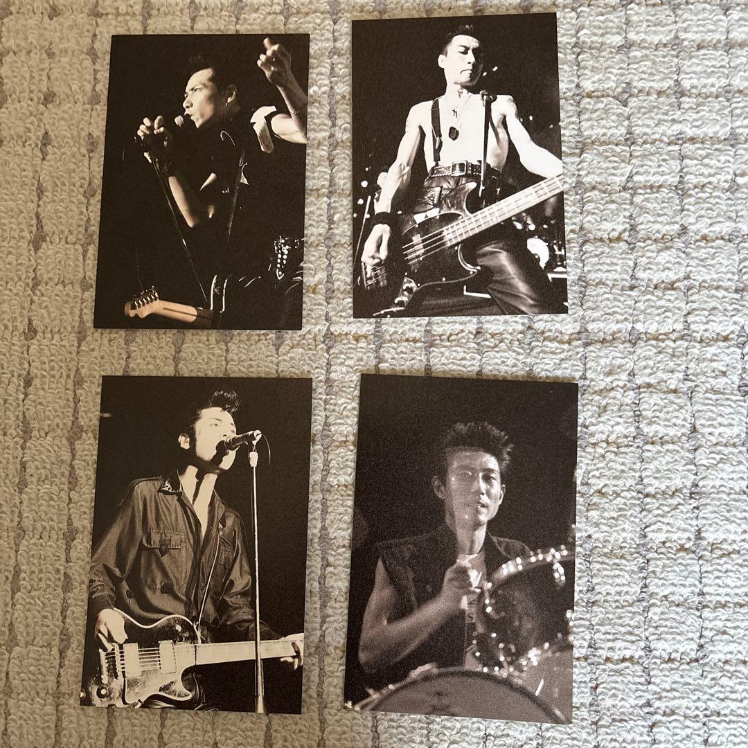 ＴＨＥ　ＭＯＤＳ　ポストカードセット サイン入り