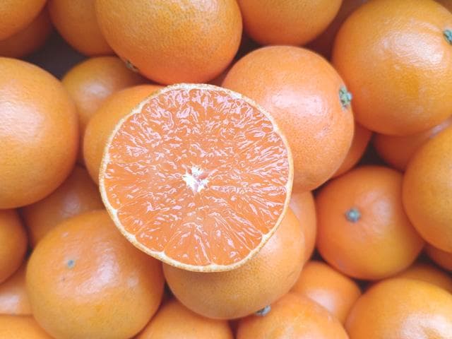 【送料無料】【小玉】佐賀産　ブランド柑橘『せとか』Ｓ　20ｋｇ