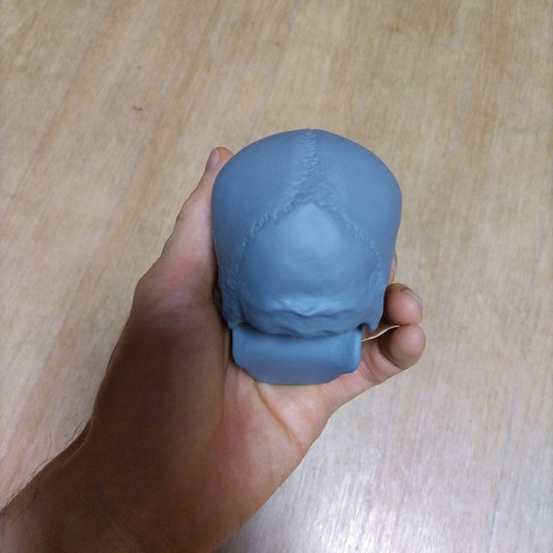 ドクロ＆ポリヘドロンマン　人体　フィギュア　頭蓋骨　美術　アナトミー