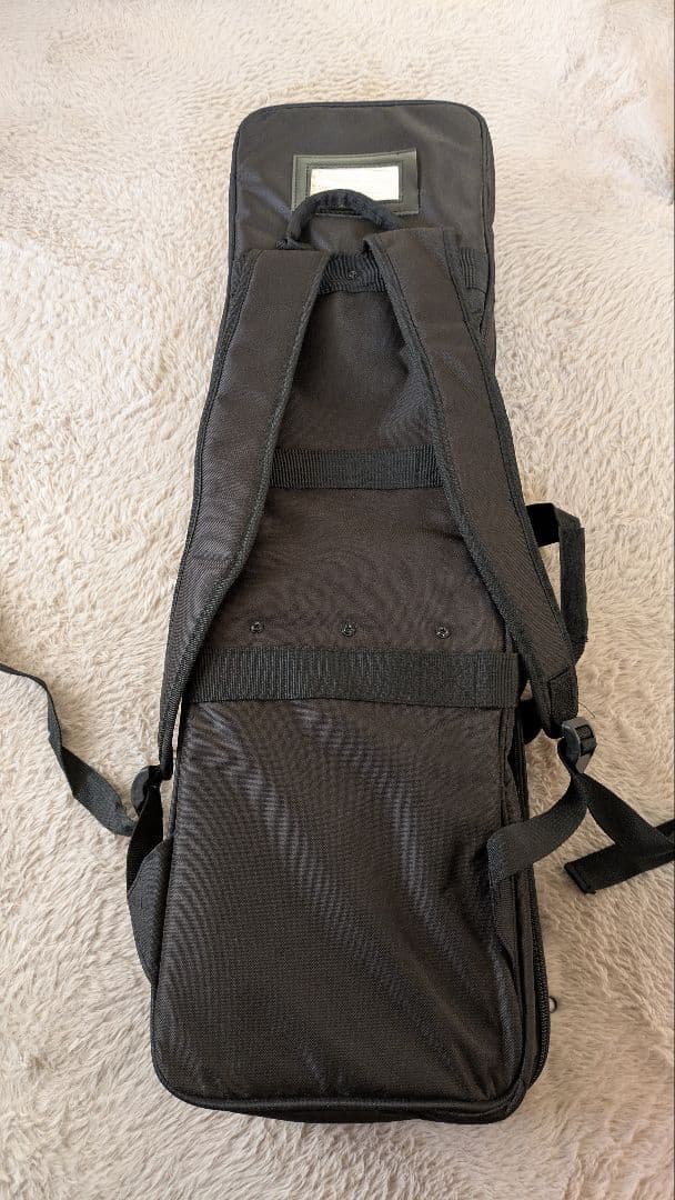 ヘビ柄三線 本体とDVD付き　美品