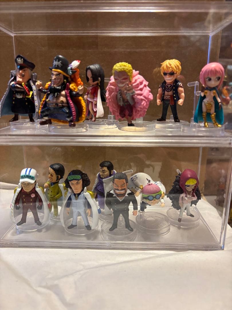 こうちゃん　ワンピの実　113体セット販売