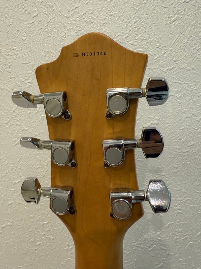 hide アメーバペイズリー　B.C.RICH モッキンバードベース