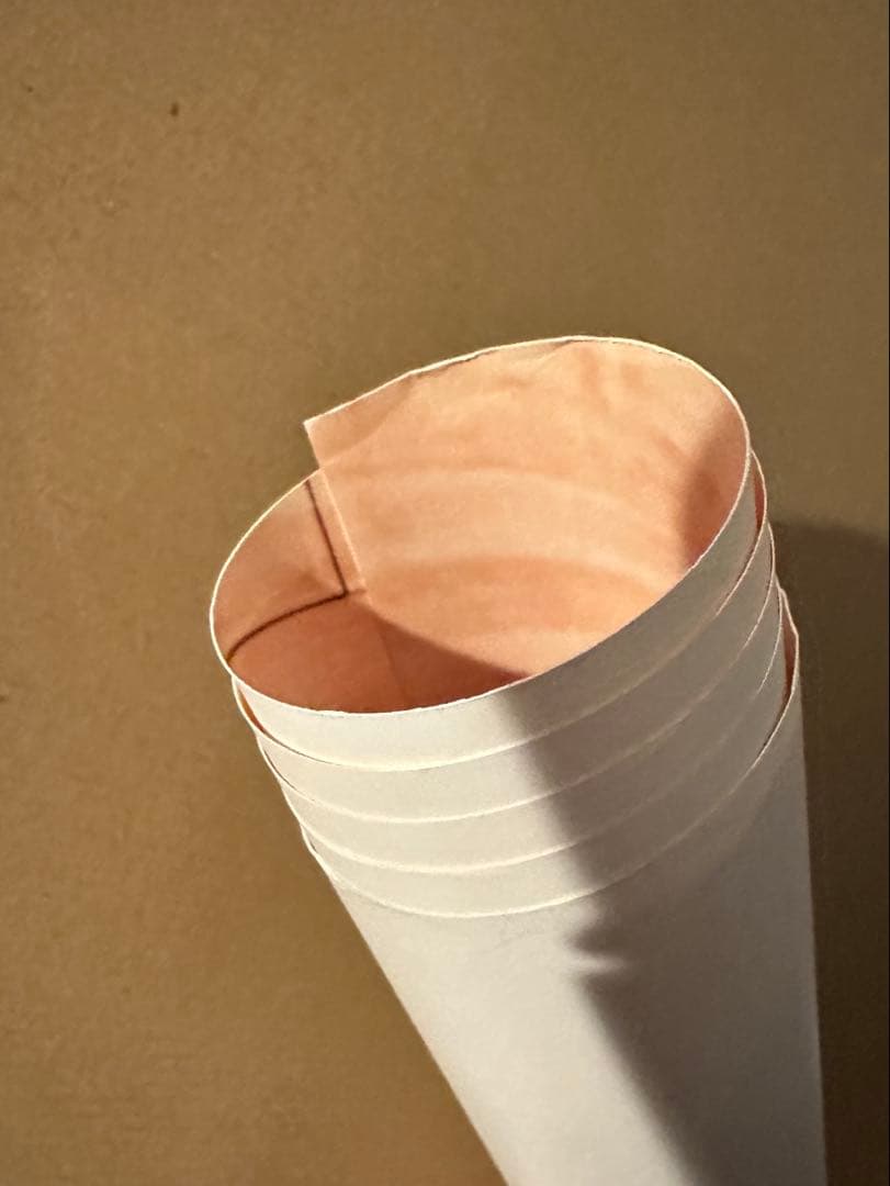 タワレコ NO MUSIC, NO LIFE ポスター The Birihday