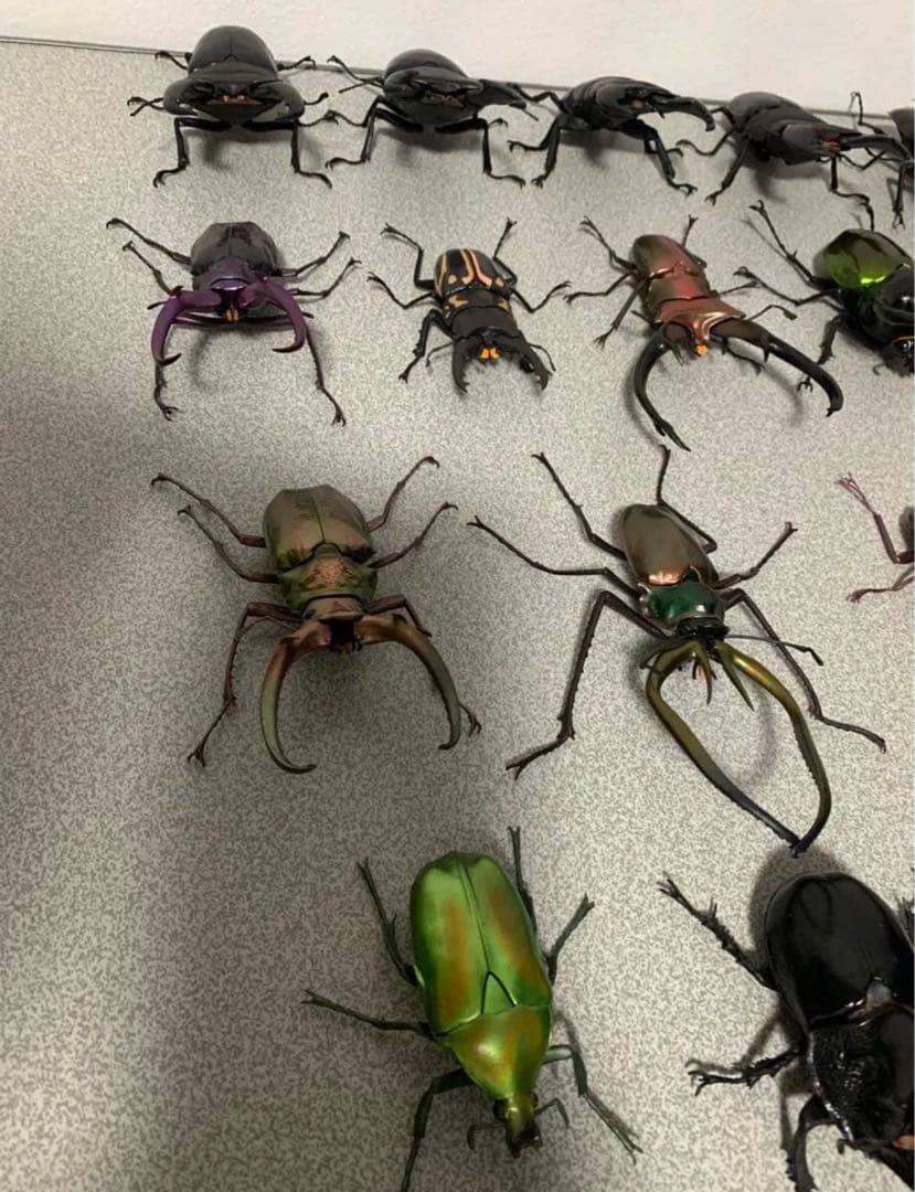 昆虫　カブトムシ　クワガタ　フィギュア　ガチャガチャ