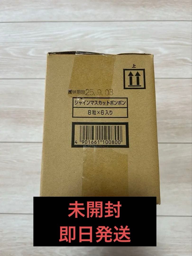 シャインマスカットボンボン　1ケース　6袋