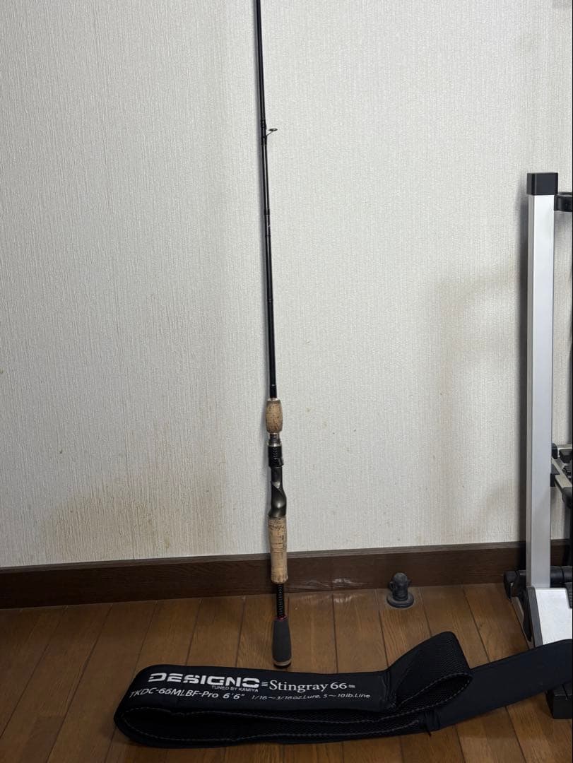 エバーグリーン　カレイド　デジーノスティングレイ66