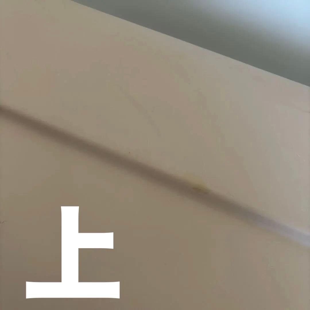 【XLサイズ】Richell 大型犬用ケージ ベージュ XL