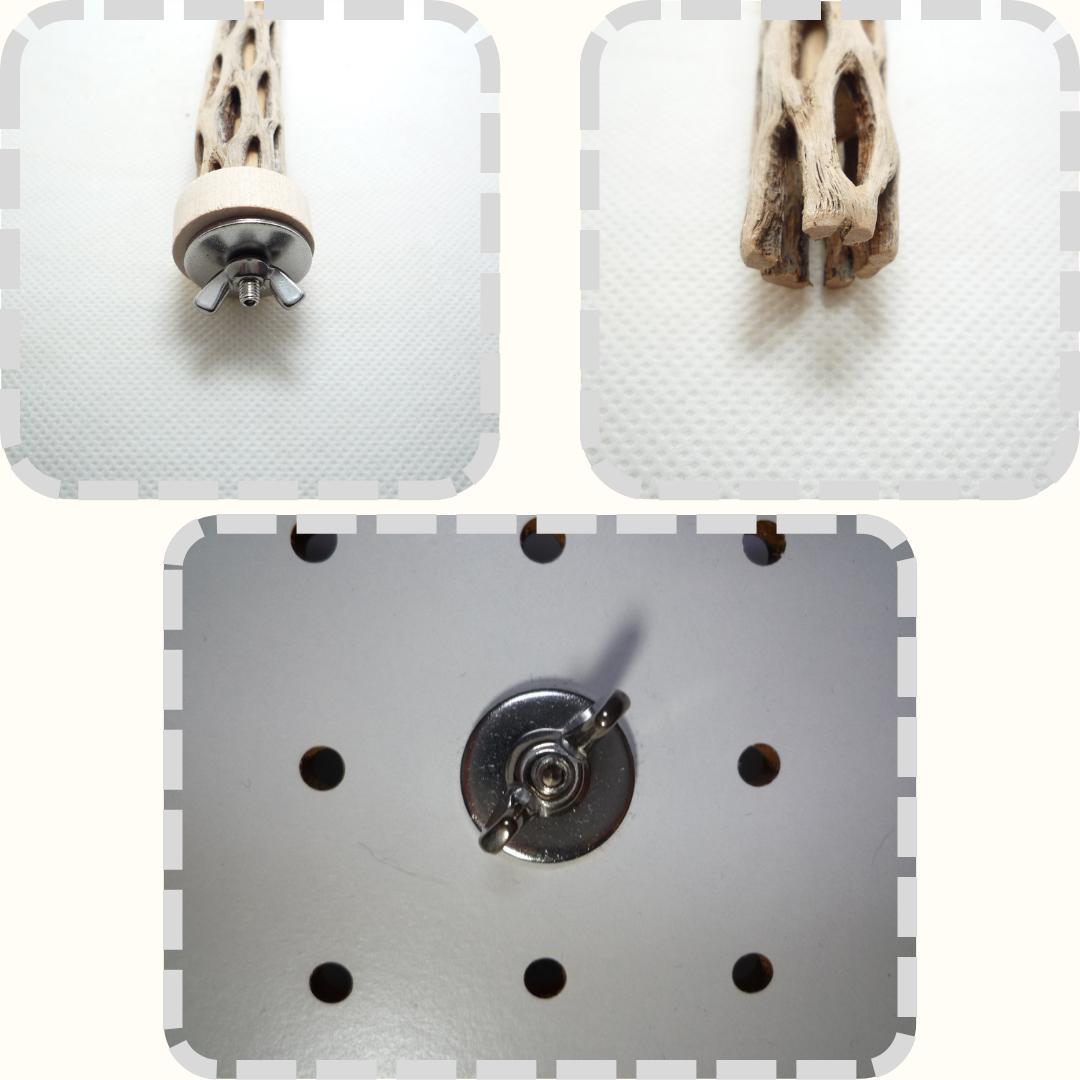 R@　おまとめ　カクタスパーチ　３本