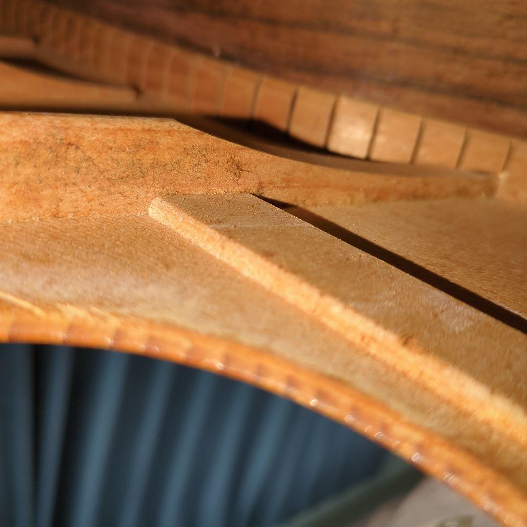 ギター TF MORRIS W50