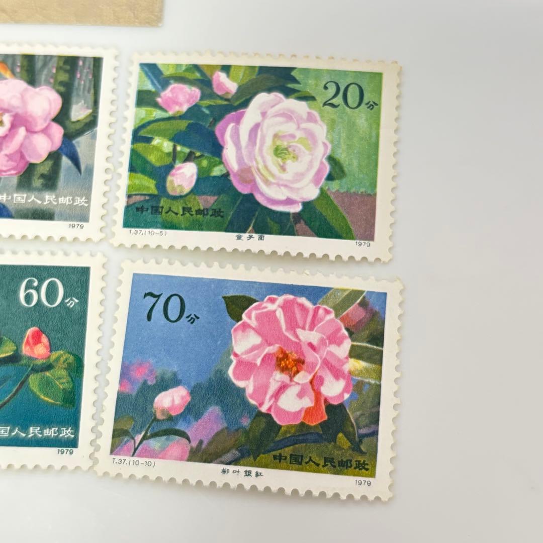 未使用品 「雲南のツバキ」 中国切手 T37 中国人民郵政