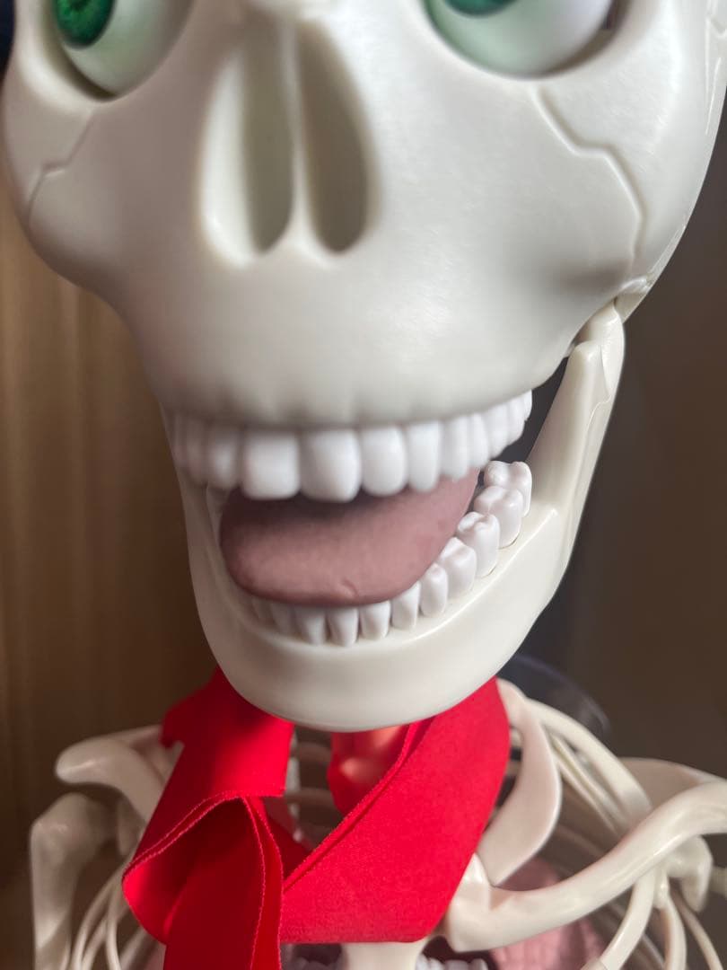 おしゃべりガイコツ　ホネッキー