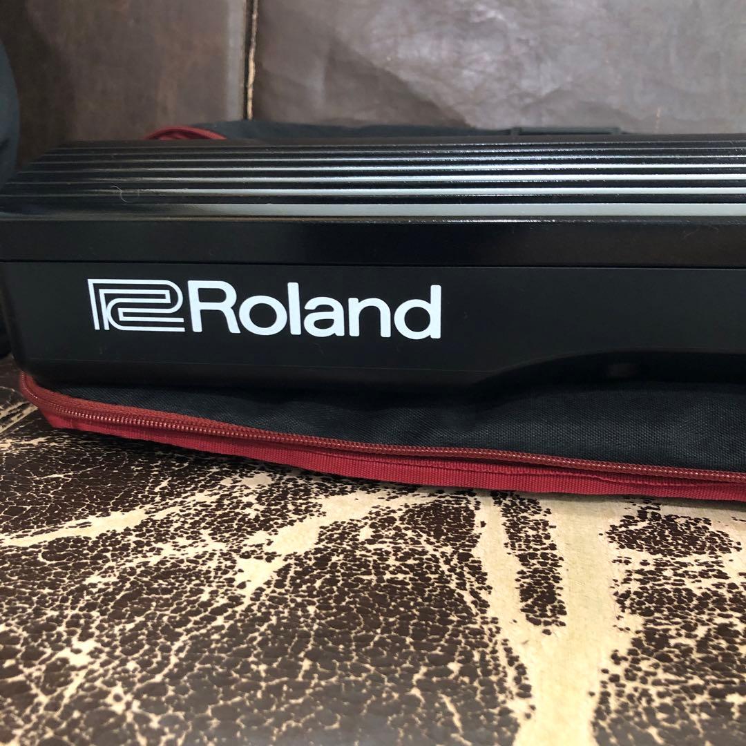 Roland 電子ピアノ　GO:PIANO 61 極美品　キャリングケース付き