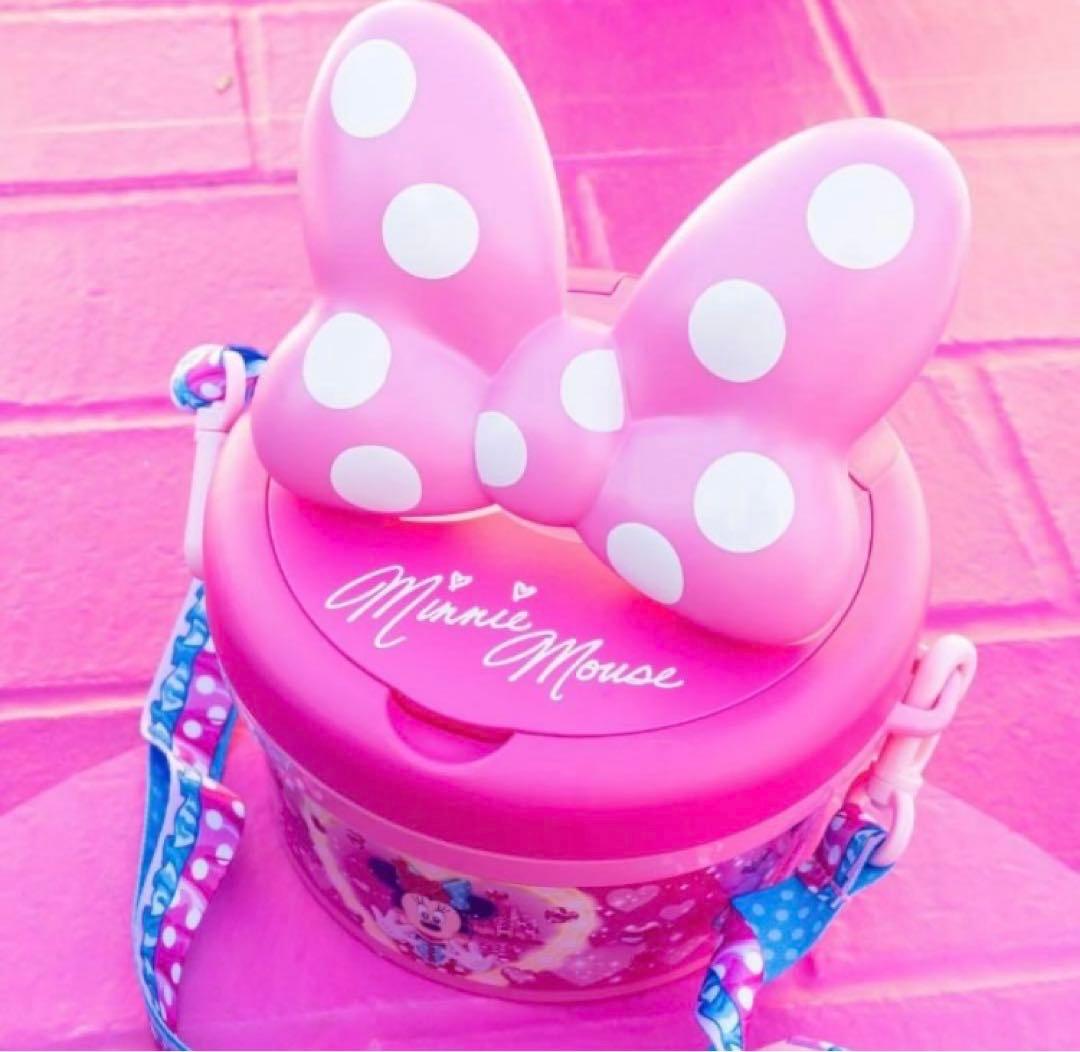 パルパルーザ❤️ポップコーンバケット　ミニパル　ミニーのファンダーランド❤️