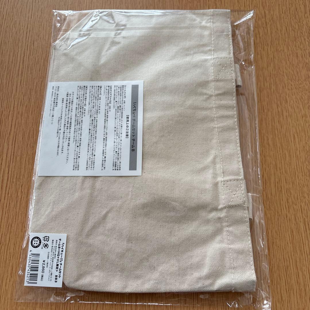 ハイキュー!! Vリーグ　チームセット・缶バッジ