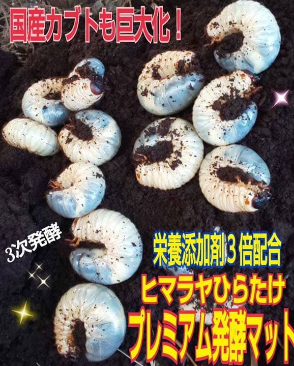 増量50L☆プレミアム3次発酵カブトマット　特殊アミノ酸・共生バクテリア3倍配合