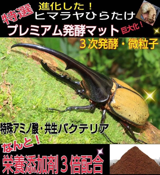増量50L☆プレミアム3次発酵カブトマット　特殊アミノ酸・共生バクテリア3倍配合