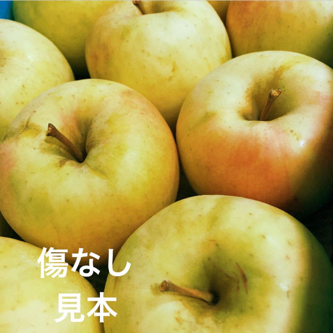 Hiromi　ぐんま名月傷なし7kg×2